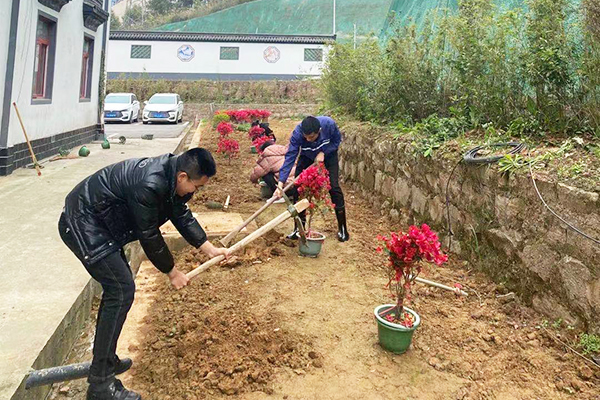 1615702135547207.jpg 8fa6e4dba763fe73bd4072596e062a5.jpg