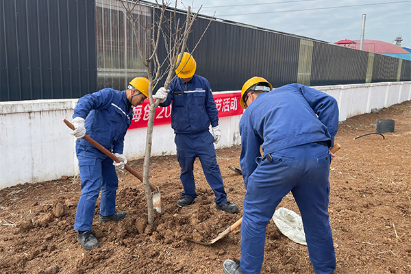 1616141257804322.jpg 3.jpg