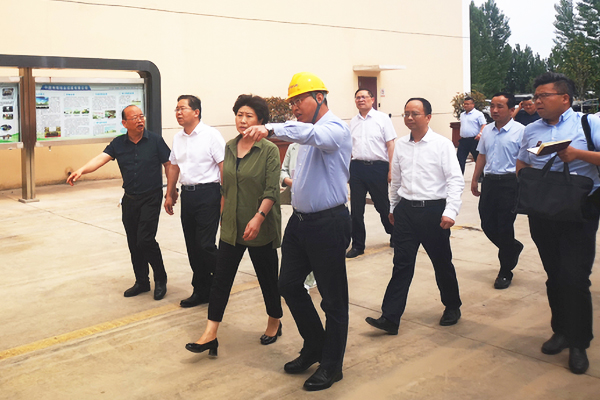 1622531675589182.jpg 1.jpg