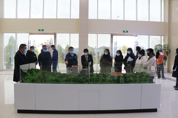 1649208636672788.jpg 1.jpg